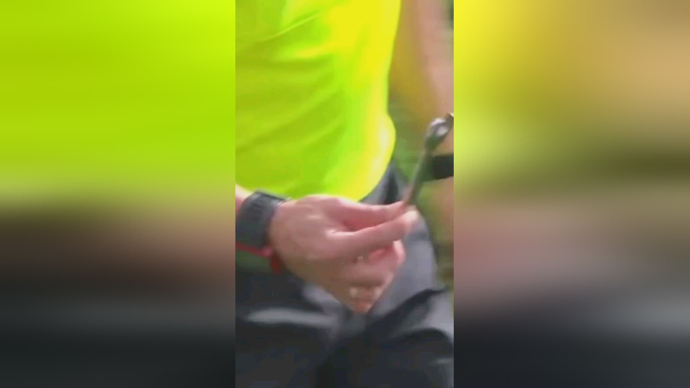 们专注于