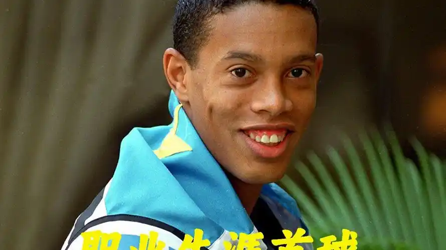 供借鉴